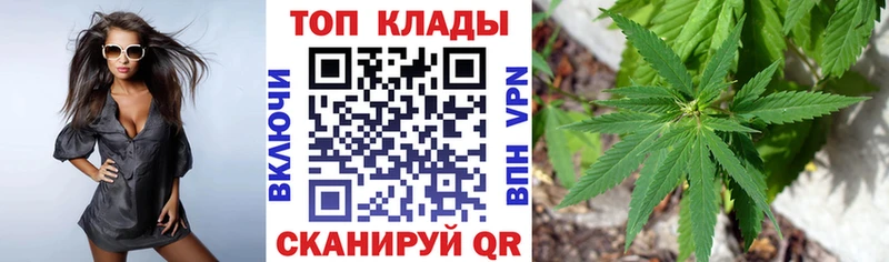 Как найти наркотики Приморск ГАШ  Амфетамин  A-PVP  MEGA зеркало  Конопля  Меф 